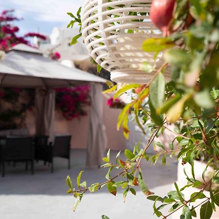 Bird Nest-Santorini Cave Houses Fira  Exterior foto